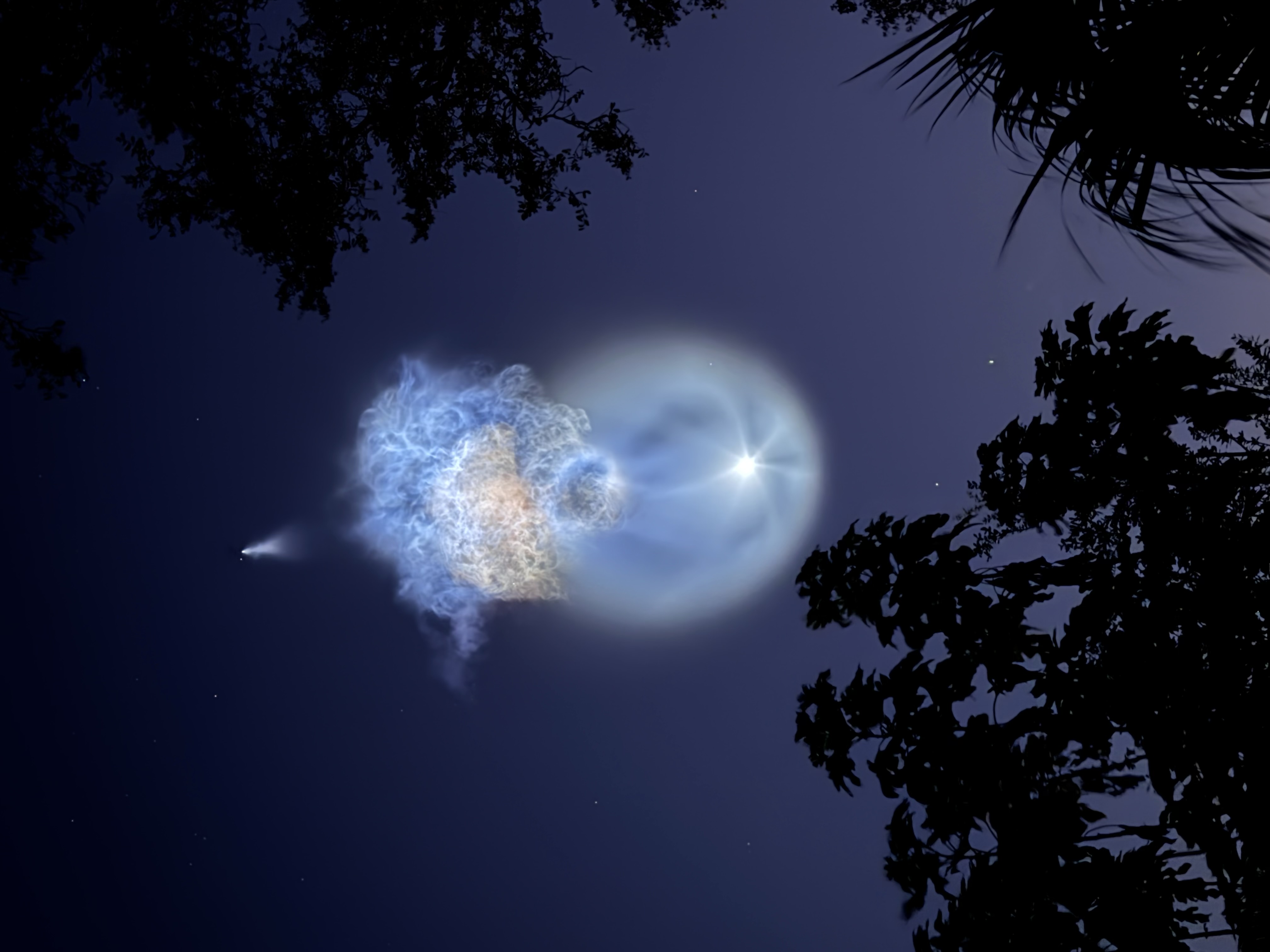 A rocket launch plume glowing over palm trees at dusk